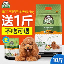 寵物用品電商視覺營銷策略 主圖、直通車圖與鉆展圖的設計與優化